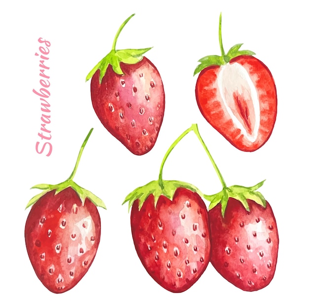 Set of ripe strawberries watercolor