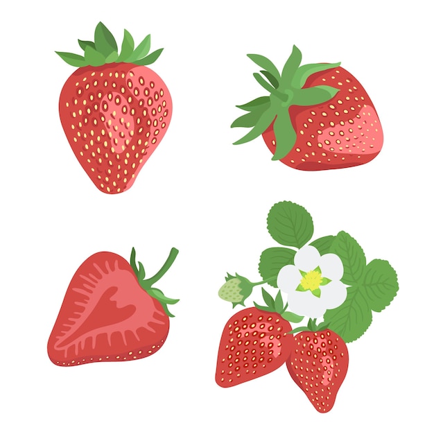 Set of ripe strawberries with flower and leaves Whole and half berries