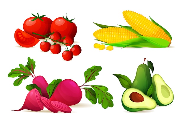 Set of ripe vegetables vector farm food