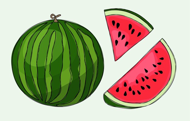 Vector set of ripe watermelon and watermelon slices