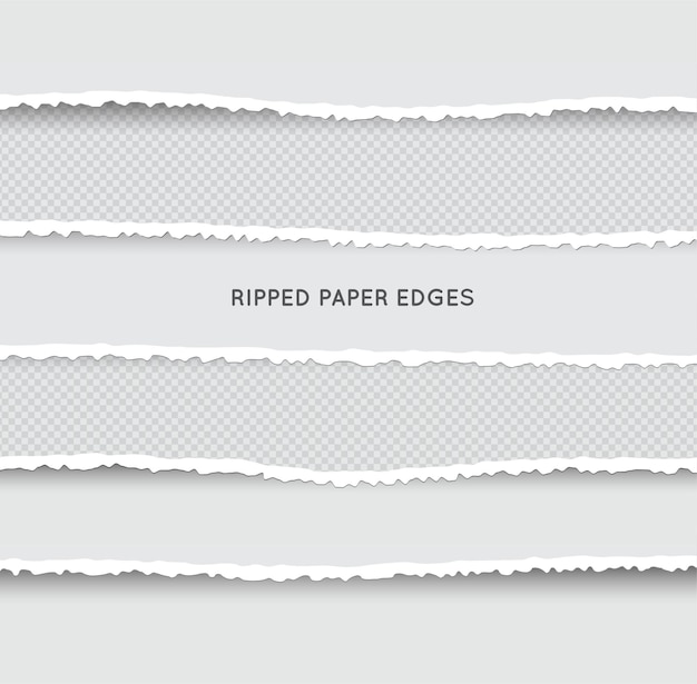 Set of Ripped and Torn Paper Stripes Texture of Paper with Damaged Edge Isolated on Transparent background Vector illustration