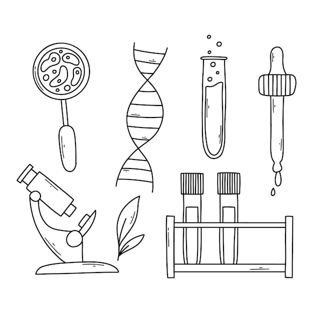 Set of scientific elements isolated on white background Collection of biological elements in doodle style