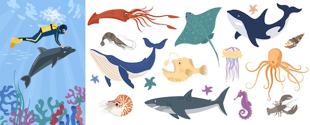 Set of sea animals and cartoon illustration