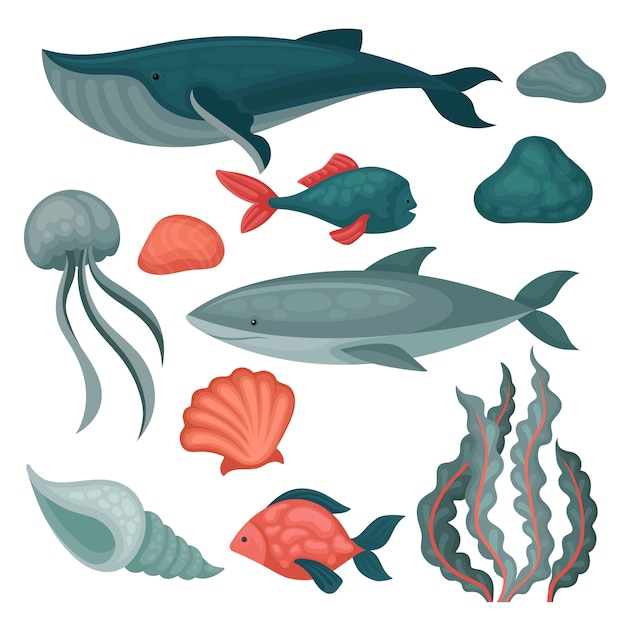   set of sea animals and objects. Big and small fishes, jellyfish, stones, seaweed and marine shells