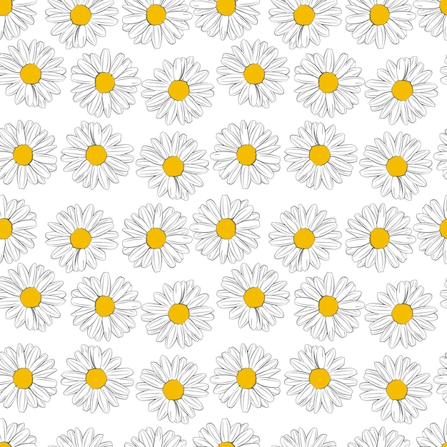 A set of seamless background with chamomile Vector graphics 1000x1000