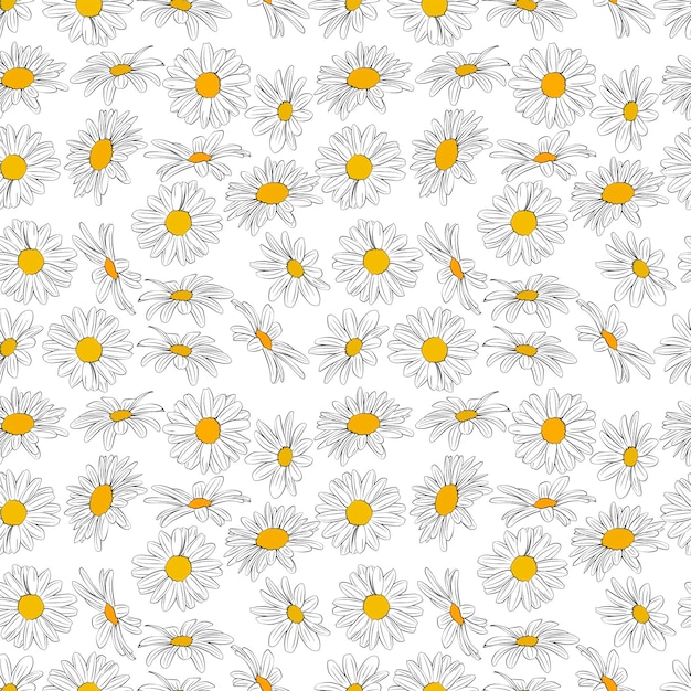 A set of seamless background with chamomile Vector graphics 1000x1000