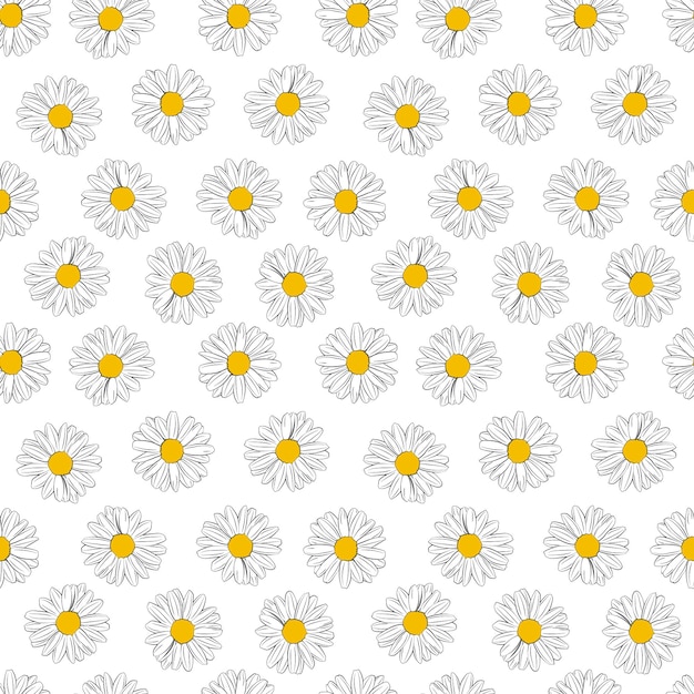 Vector a set of seamless background with chamomile vector graphics 1000x1000