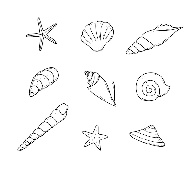 A set of seashells contour doodle Vector illustration of a collection of shells isolate on white