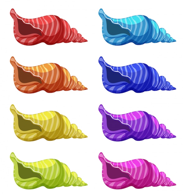 Vector set of seashells in different colors