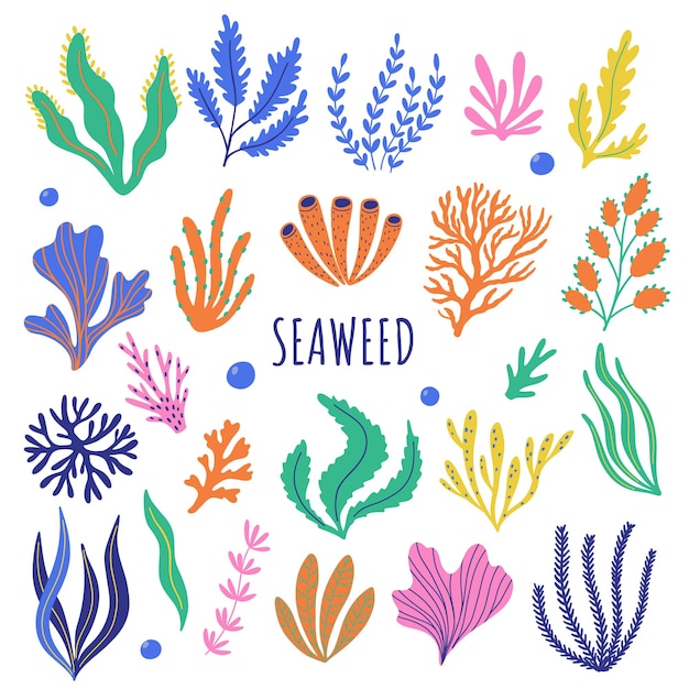 Set of seaweed and colored corals Vector cartoon illustration of seaweed aquarium plants