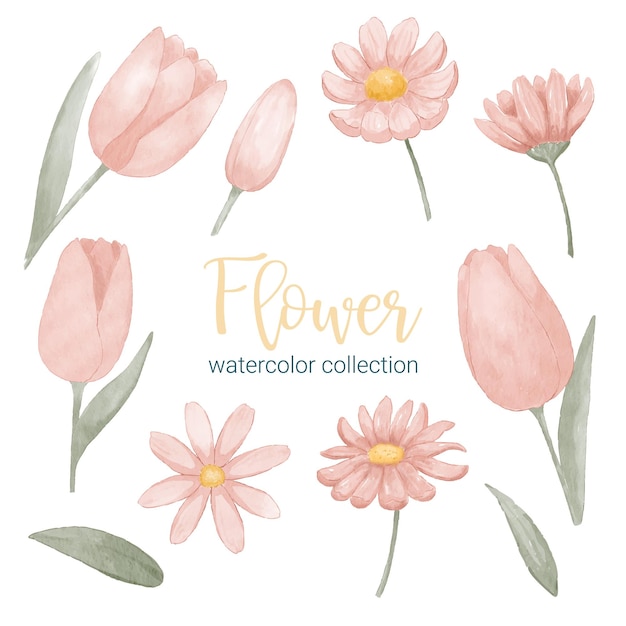 Set of Separate parts and bring together to beautiful bouquet of flowers in water colors style on white background flat vector illustration