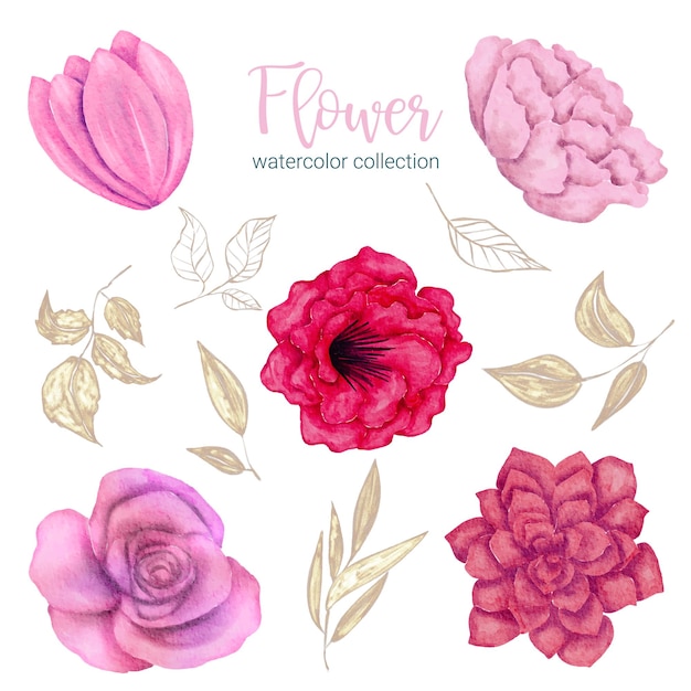 Set of Separate parts and bring together to beautiful bouquet of flowers in water colors style on white background flat vector illustration