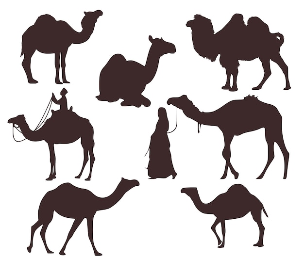 Set of seven silhouettes of camels