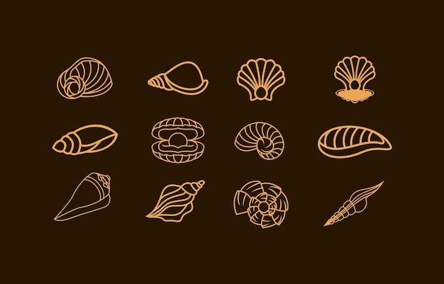 Set shell line art design vector