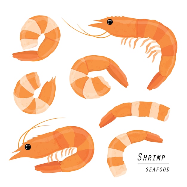 Set of shrimps isolated on a white background. Cartoon  illustration