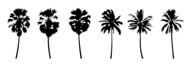 Set of silhouette design of palm trees with black color on isolation style for graphic designervector illustration