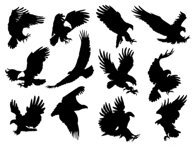 Set of silhouette eagles. Illustration of birds prey