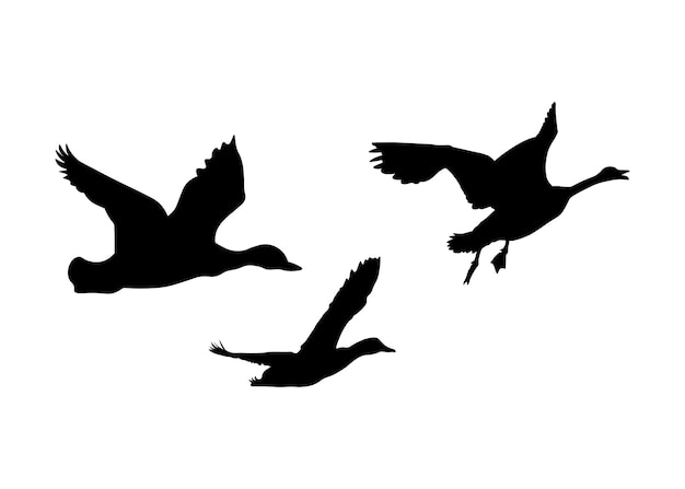 Vector set of silhouette flying wildlife ducks vector isolated on white background