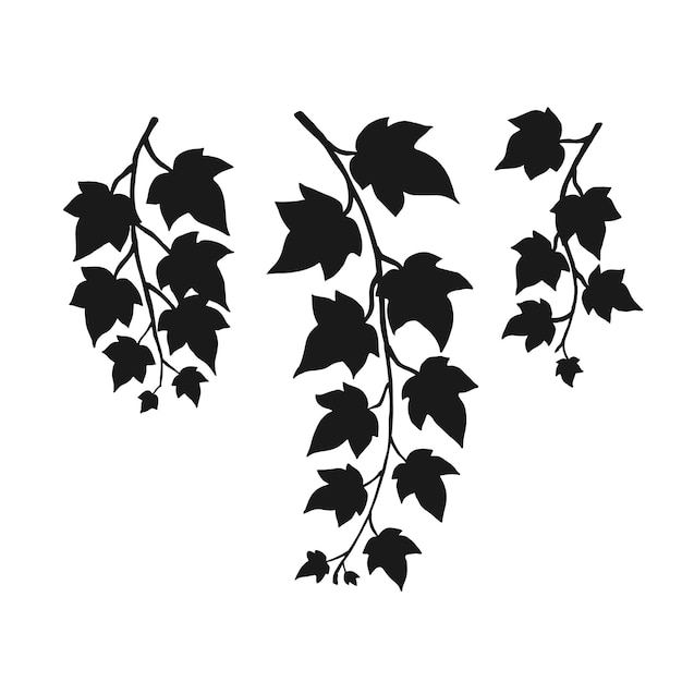 Set of silhouette ivy branch Hand drawn illustration converted to vector