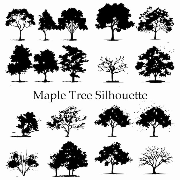 A set of silhouette maple tree vector illustration