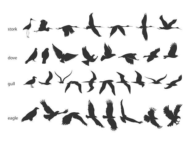 Set of silhouettes of birds in motion on a white background