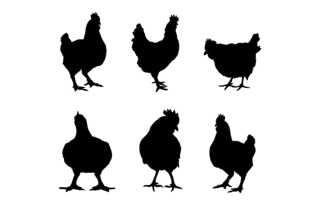 Vector set of silhouettes of broiler roast chicken vector design