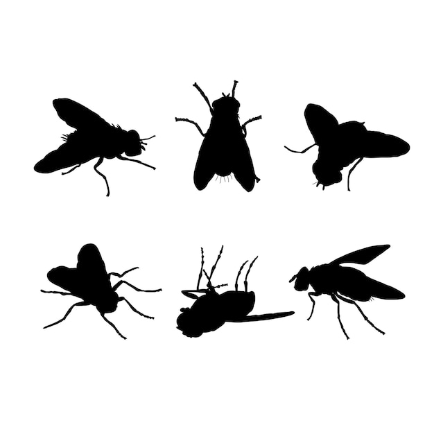 Set of silhouettes of insects fly vector design