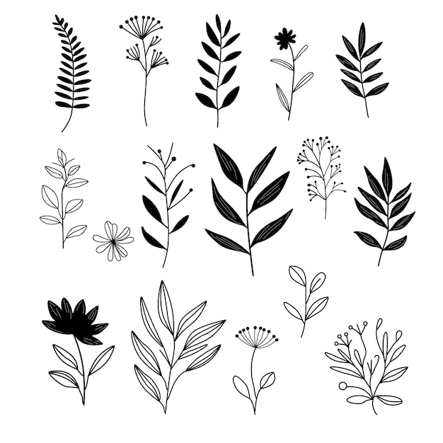 Vector set of silhouettes of leaves hand drawn floral elements vector set botanical illustration