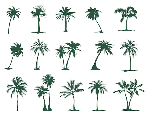 A set of silhouettes of Palm trees. Tropical palm tree silhouette for your art