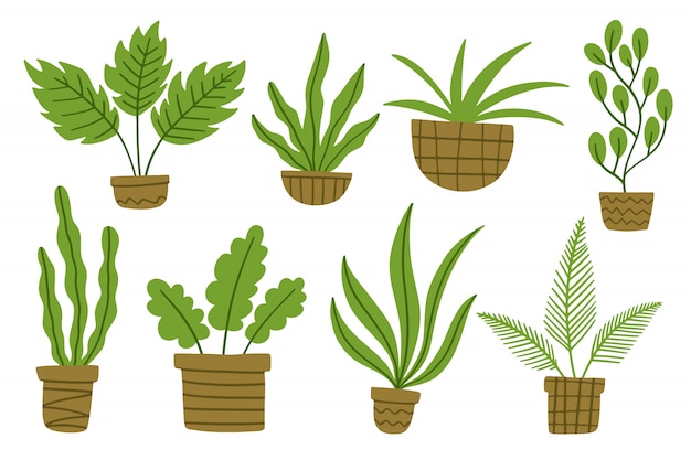 Set of simple cute homemade botanical plants potted flowers and trendy leaves.