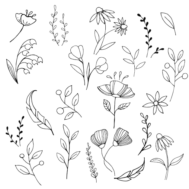 Set of simple elements of flowers and plants