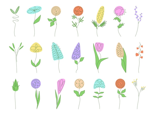 Set of simple minimalistic oneline drawing colorful flowers Floral herbs leaves collection