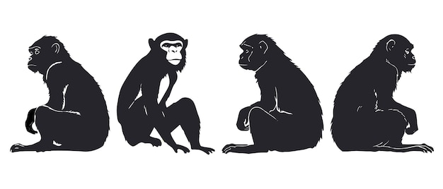 Vector set of single silhouettes of a realistic monkey modern logo design