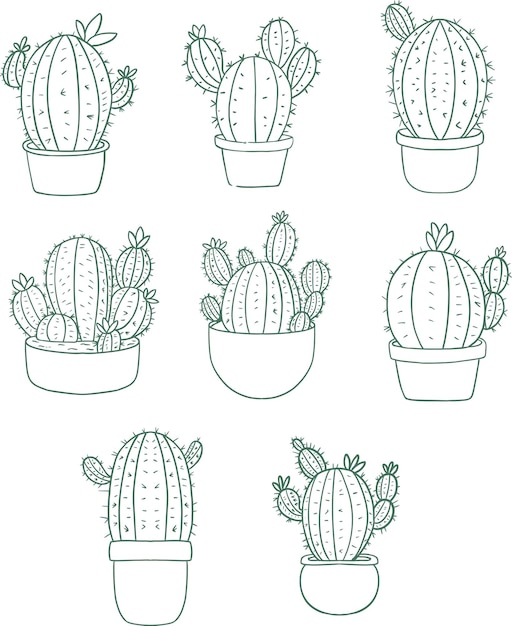 A set of six cactus in pots with different shapes.