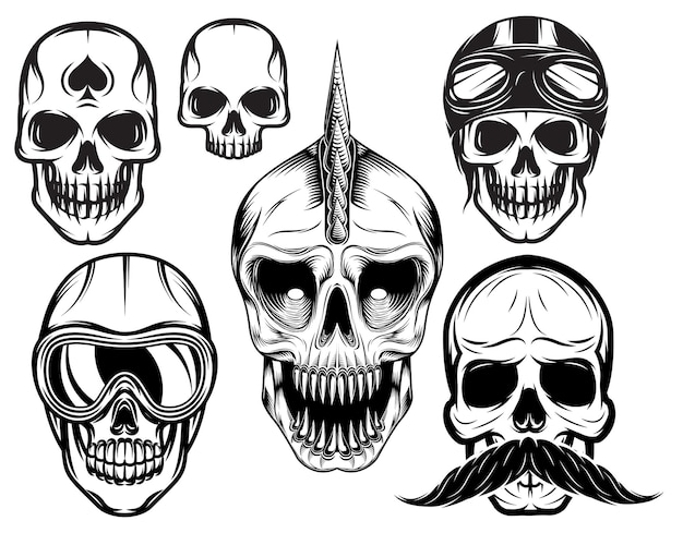 Set of six different skulls for design