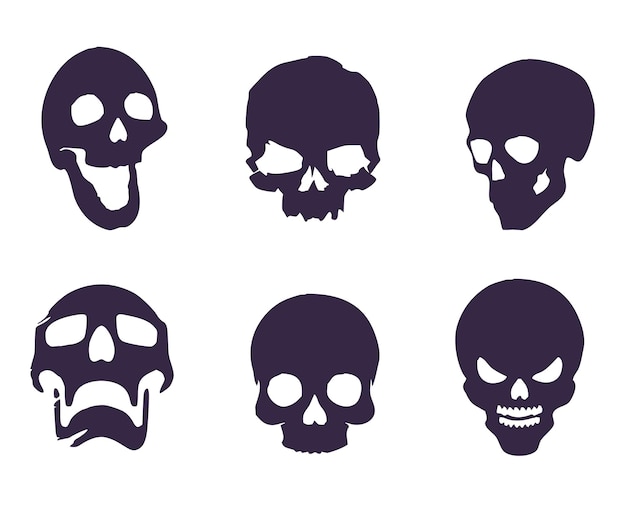 Set of six human skulls