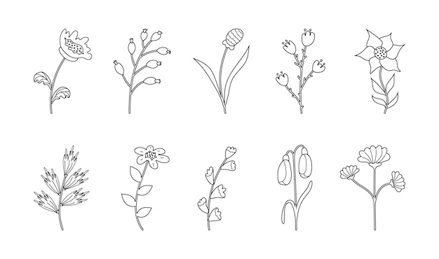 Set of sketches of black spring Flowers isolated on a white background Hand drawn Outline of plant buds and leaves for decoration