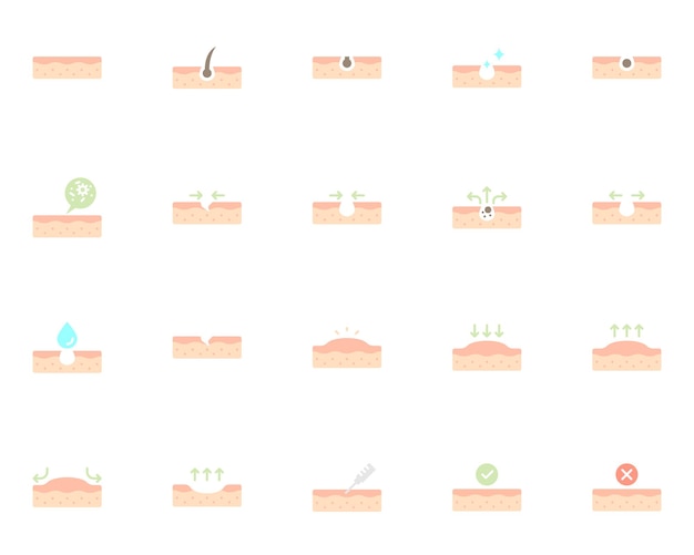 Set of skin icons epidermis