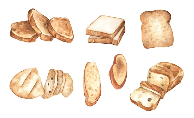 Set of slices bread. Watercolor illustration.