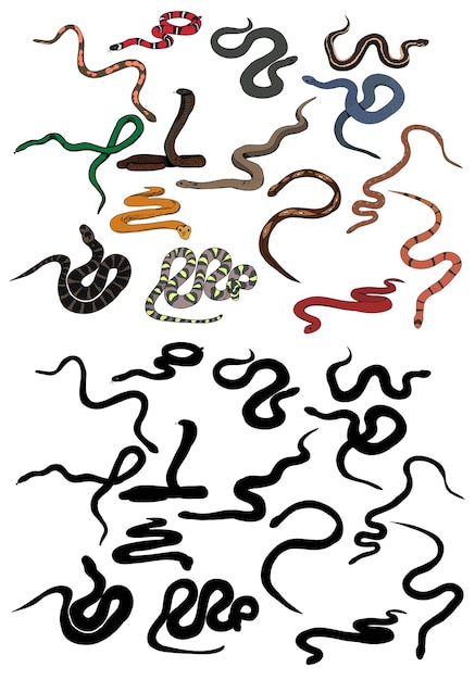 Set of snake crawling collection of silhouettes