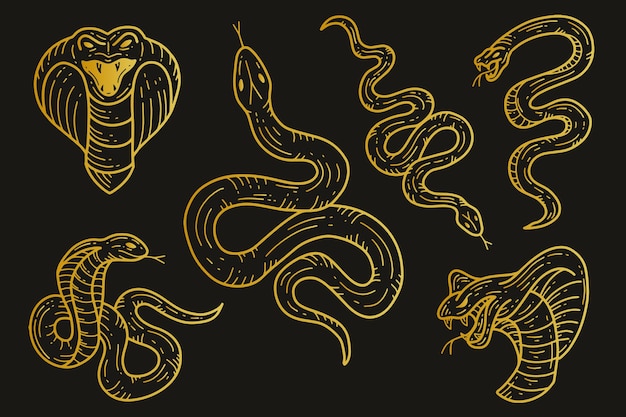 Set of Snakes Viper Venom Black Tattoo Collections illustration