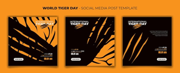 Vector set of social media template with tiger and tiger scratch background for tiger day design