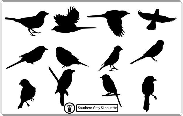 Vector set of southern grey vector silhouettes.