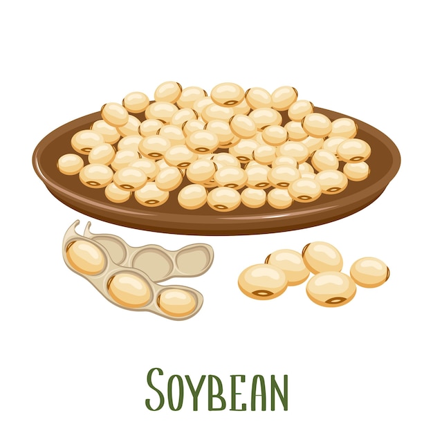 Set of soybeans Soybean plant soybeans in pods in a bowl Food agriculture Illustration vector