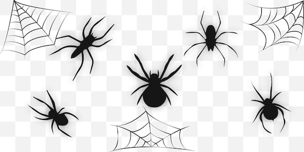 Set of spider sillhouette Black spider set Halloween design Vector illustration