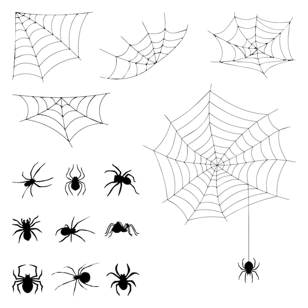 Set of spider web and spiders isolated on white background