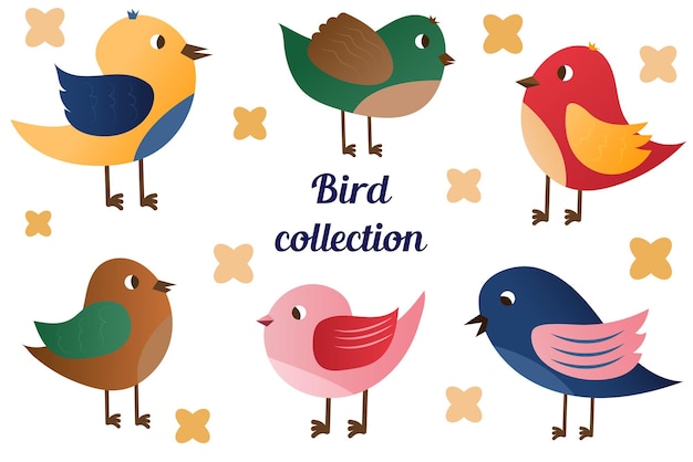 Set of spring birds Vector cartoon illustration in childish style Different birds Images are isol