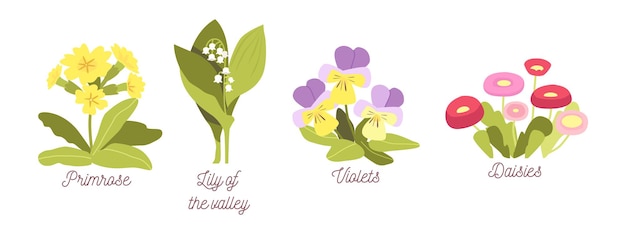 Set Spring Flowers, Bloom Garden or Forest Blossoms Primrose, Lilly of the Valley, Violets and Daisies, Natural Plants with Leaves and Petals Isolated on White Background. Cartoon Vector Illustration