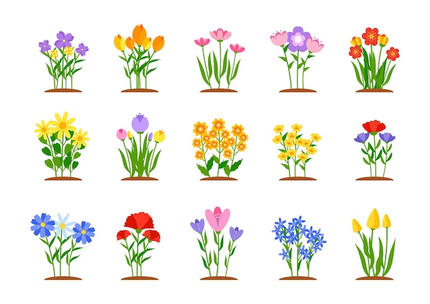 Set of spring garden flowers in flat style early garden flower beds with growing colored tulips daffodils or daisies