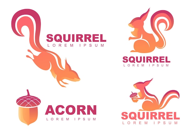 Set of squirrel vector logo design squirrel with acorn flat vector illustration isolated on white background.